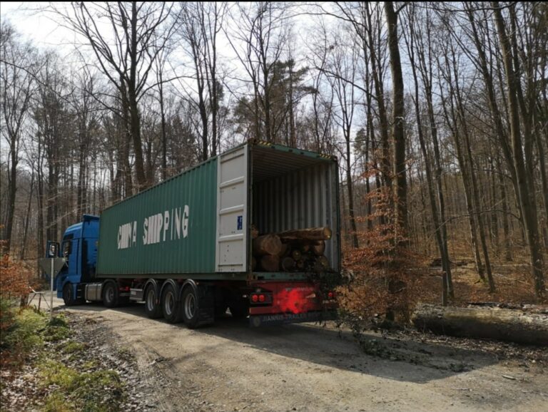 Merzig setzt Zeichen: Keine Holzexporte in die weite Welt