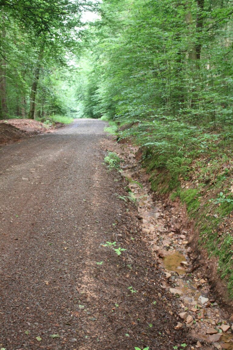 Landschaftswasserhaushalt optimieren – Hochwasservorsorge erfordert ein umfassendes Konzept