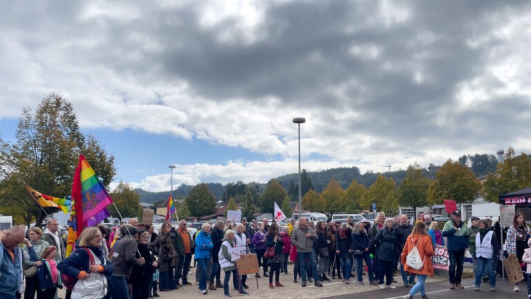 Wir zeigen Flagge: Demo in Losheim
