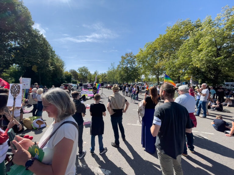 Wir zeigen Flagge, Demo in Merzig